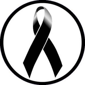 Meet your Posher, Estevez